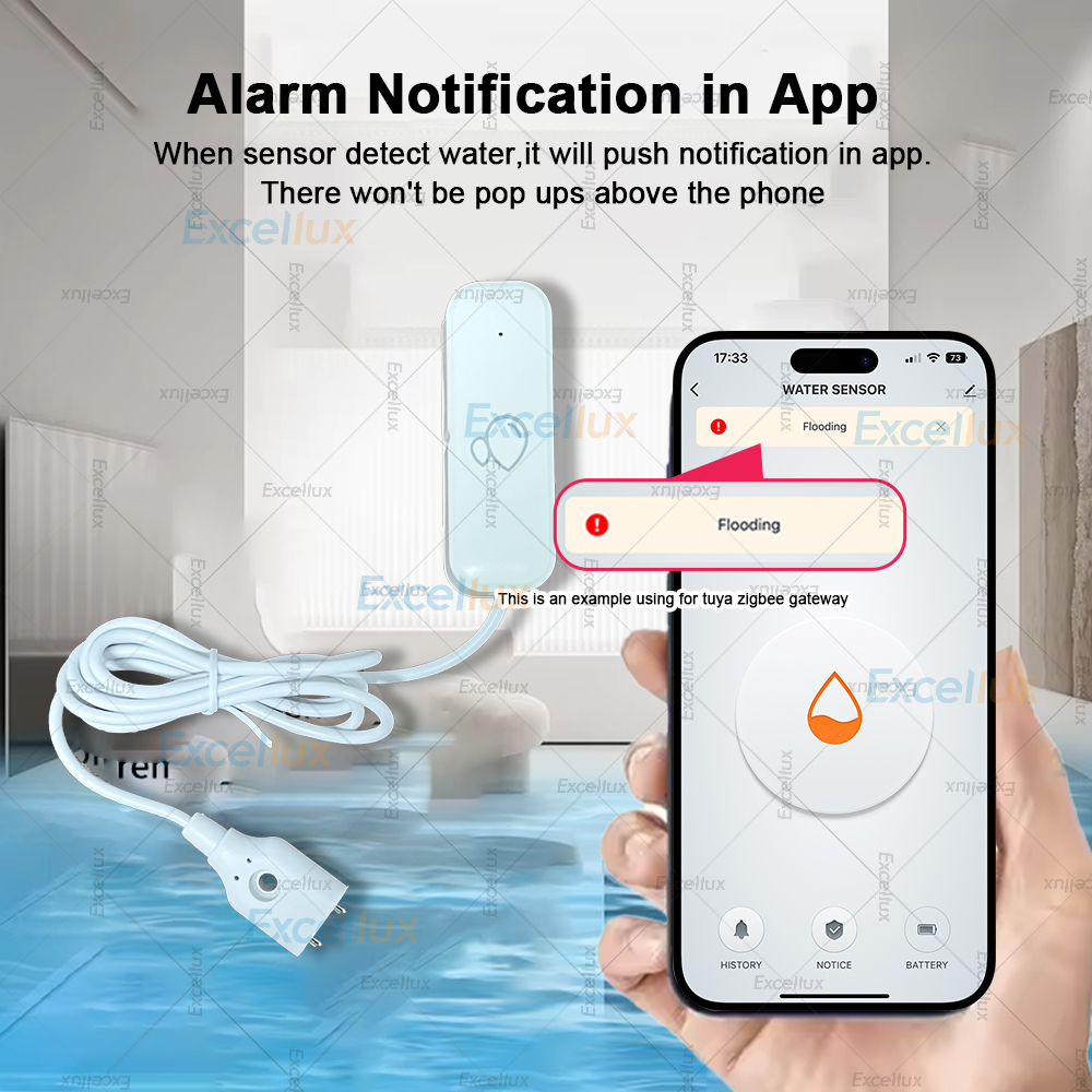 Zigbee Smart Wasserleck-Sensor – Water Alarm Sensor Bewertung und Preis