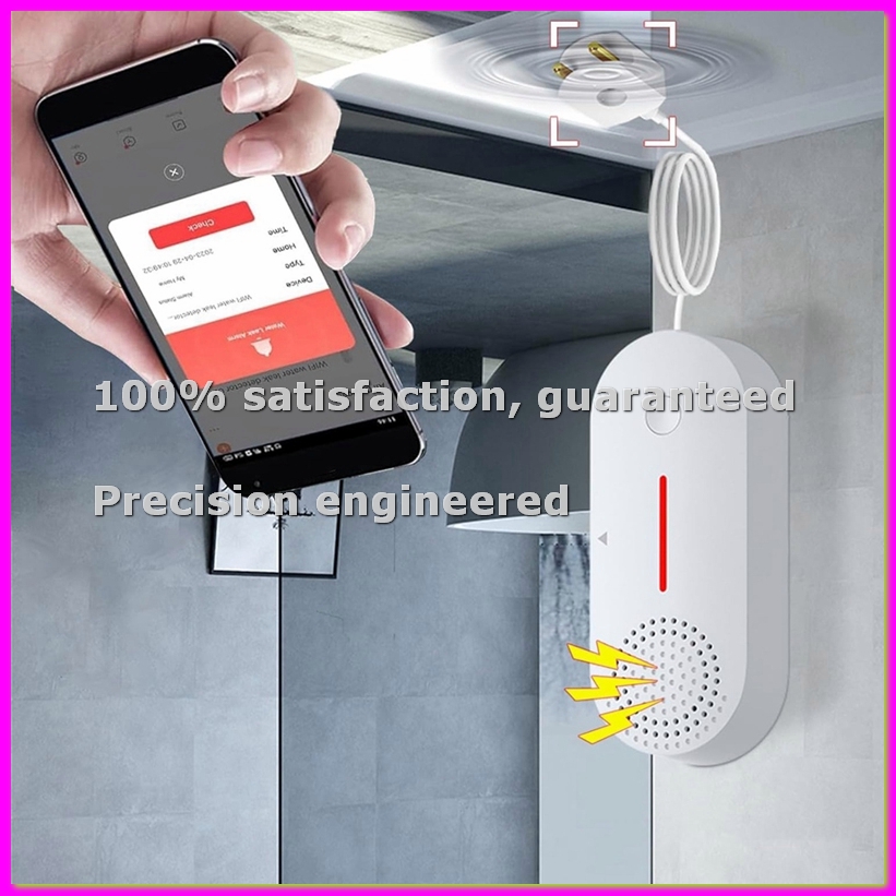Wasserdetektor-Alarm, Intellig – Water Alarm Sensor Bewertung und Preis