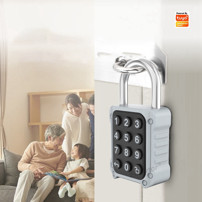EGFirtor Tuya APP Elektronisch – Lockbox Key Secure Bewertung und Preis