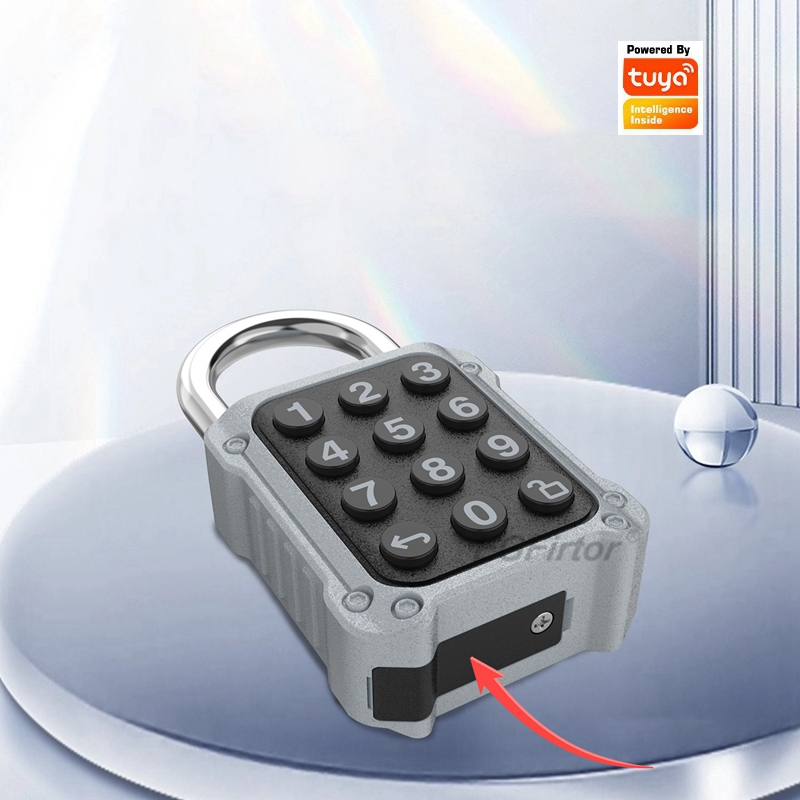 EGFirtor Tuya APP Elektronisch – Lockbox Key Secure Bewertung und Preis